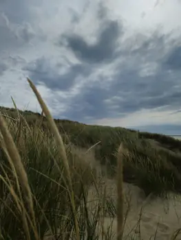 Bredene (Belgium)